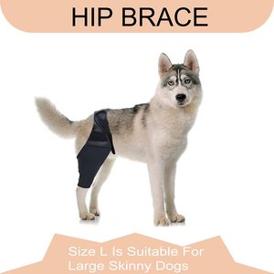 Dog Leg Support Brace Hind Leg Protection Sleeve For Dogs Joint Injury Recovery Basic Protection Size Xs - Product Image 2