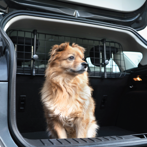 Cage pour <span class=keywords><strong>chien</strong></span> Cage pour <span class=keywords><strong>chien</strong></span> Hotsale <span class=keywords><strong>Barrière</strong></span> de voiture en métal solide Filet d'isolation de voyage pour animaux de compagnie Clôture de protection renforcée sécurisée Protection séparée Cage pour <span class=keywords><strong>chien</strong></span> - Product Image 3