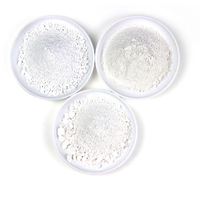 Nano-CaCO3 hydrophobe traité pour additifs de peinture internationaux – Poudre de carbonate de calcium super blanche et légère