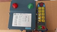 Émetteur et récepteur de télécommande sans fil industrielle YD-10S Telecrane