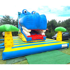 Çin Fabrikası Dev Ticari Kuru Kaydıraklı Zıplama Evi Arka Bahçe Zıplama Evi Çocuklar İçin Büyük Çift Şişme Kaydıraklar - Product Image 5