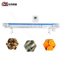 Báscula Multicabezal Industrial para Cintas Transportadoras con Clasificadora de Huevos y Frutas