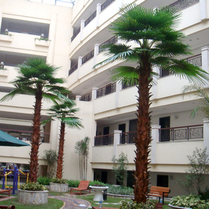 SPYZS6 Personnalisation Palmier Cocotier Artificiel Synthétique Pour Hôtel <span class=keywords><strong>Villa</strong></span> 5 Étoiles Projet D'ingénierie Jardin Aménagement Paysager - Product Image 5