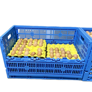 plastic folding egg crate for egg transportation egg plastic basket