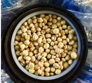 Số lượng lớn nấm trong trống 10kg toàn bộ/thái lát trộn chân không đóng gói bảo quản Nấm cho chế biến thực phẩm - Product Image 5