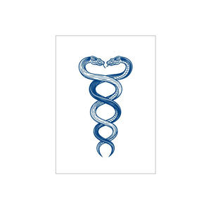 Tatouage semi-permanent personnalisé <span class=keywords><strong>aigle</strong></span> serpent tigre tatouage temporaire semi-permanent de jus résistant à l'eau longue durée - Product Image 4