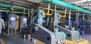 Suministro del fabricante <span class=keywords><strong>Harina</strong></span> de madera de álamo y <span class=keywords><strong>harina</strong></span> de madera de pino 100-120 Malla DE MADERA EN POLVO <span class=keywords><strong>Precio</strong></span> de descuento - Product Image 2