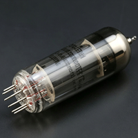 Tube à vide EH EL84 d'origine, équivalent 6P14, paire assortie de précision, remplace 6BQ5 N709 pour amplificateur de guitare audio Hifi