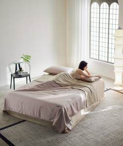 لحاف بالجملة ناعم وسلس، مخزون متوفر، مريح وقابل للتنفس، فئة أ، 100S لانجينغ تنسل، لون موحد، لحاف صيفي - Product Image 4