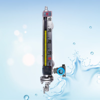 Magnetic Bypass Level Indicator with Remote Diaphragm Alarm Switch Control Switch 300-15000mm Range 10mm Accuracy