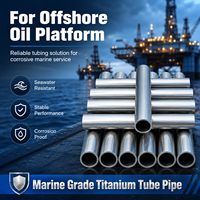 Tube en titane de qualité marine résistant à la corrosion et à l'eau de mer pour plateformes pétrolières offshore et systèmes de dessalement