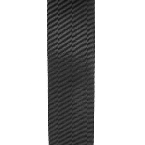 Thân thiện với môi chất lượng cao màu đen Twill 100% nylon Webbing 3/4 inch 1 inch 30mm 2 inch - Product Image 6