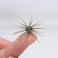 Nouvelle Leurre Souple OEM 1.38in 0.28in 0.5g en TPE, Taille Crappie/Panfish, Appât Simulé Épine de Mer pour Pêche sur Glace/Mouche