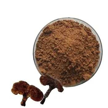 GMP and Organic duanwood Ganoderma lucidum extract powder/ Reishi Extract