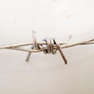 Bobine de fil de fer barbelé polarisé pour rasoir, à bas prix, en argent <span class=keywords><strong>blanc</strong></span> ou PVC, Protection de la couleur, 1 pièce - Product Image 3