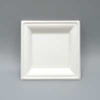 Assiettes carrées biodégradables en bagasse de canne à sucre de 6, 8 et 10 pouces – Assiettes jetables robustes en canne à sucre pour fêtes, dîners et collations
