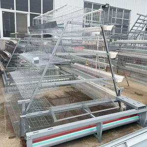 <span class=keywords><strong>Cage</strong></span> à poules pondeuses de type A à alimentation automatique pour élevage en batterie, avec nettoyage manuel du fumier par manivelle - Product Image 3