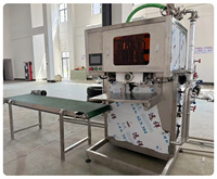 Volautomatische Bib Aseptische Vulmachine Speciaal Ontworpen Voor Vruchtensap, Melk, Jam, Koffie, Rode Wijn En Gezuiverd Water.