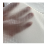 Tissu en nylon 66 ripstop pour parachutes 10D 30D 70D revêtement en pusilicone ignifuge vêtement en duvet imperméable