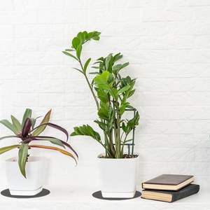 Sous-verre en feutre de polyester écologique, absorbant l'eau et isolant thermiquement, accessoires de cuisine, tapis de jardinage en tissu non tissé - Product Image 3