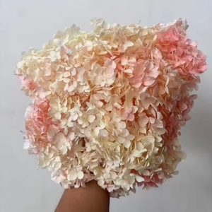 Pétalos de Hortensia <span class=keywords><strong>Annabelle</strong></span>, Caja de 100g, Flores de Hortensia Secas Preservadas con Tallo Corto para Arreglos Florales, Día de la Madre - Product Image 6