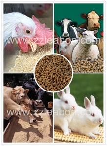 Fabbrica di pollame animale Leabon piatto Die mangime Pellet Mill - Product Image 6