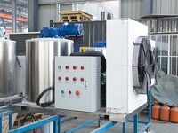 Machine à glace en flocons industrielle Haiyue de 0,3T, 0,5T, 1T, 2T, 3T avec certification CE pour la production commerciale de glace en flocons pour le poisson - Usine chinoise