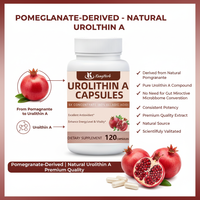 Capsules d'Urolithine A en marque privée, soutien mitochondriel, énergie cellulaire, complément alimentaire, fabricant OEM