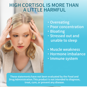 Suplemento de Magnesio Glicinato y Lisinato OEM de Alta Absorción para el Sueño y la Relajación Muscular, 200 mg por Porción - Product Image 3