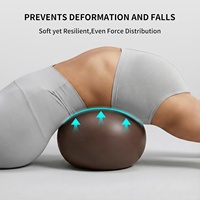 Ballon de Pilates en PVC épais de 300 g, 9,8 pouces, anti-éclatement, antidérapant, pour la remise en forme, la physiothérapie, les exercices de renforcement du tronc et les étirements