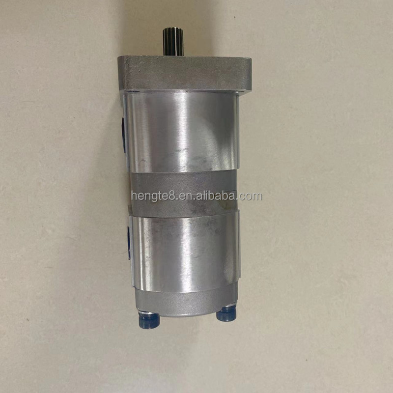 HITACHI Kubota Zexel Diesel Kiki Gear Pumps for Mini Excavators