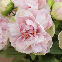 Bunga Peony Artificial 2 Tangkai Real Touch, Bunga Sutra Paeonia Besar untuk Buket Pengantin, Dekorasi Pernikahan Mewah