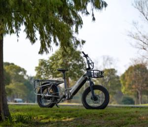 <span class=keywords><strong>Mario</strong></span> 750w Véhicule utilitaire électrique multifonction alimenté par une batterie au lithium 48v - Product Image 5
