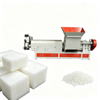 Machine de granulation de coton perlé EPE, machine de fabrication de granulés de plastique et de mousse recyclée