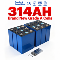 Sel Baterai Lithium Iron Phosphate (LFP) Prismatic CATL 3.2V 314Ah Grade A Baru untuk Paket Baterai ESS Tenaga Surya dengan Daya Tahan 7000+ Siklus