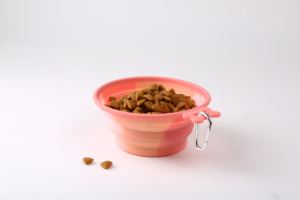 Vendita calda più economica all'ingrosso Pet acqua pieghevole in Silicone cane e gatto forma rotonda lentamente pieghevole ciotola - Product Image 6