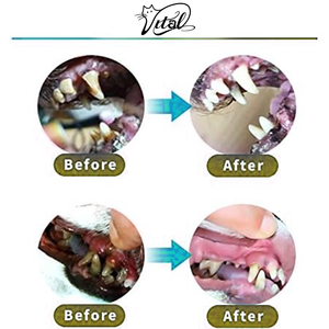 कुत्तों 0.35oz के लिए मौखिक घाव देखभाल जेल प्लास्टिक 100% प्राकृतिक सामग्री की सुरक्षित देखभाल मौखिक घावों की सूजन का इलाज करता है - Product Image 2