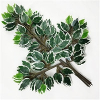 QSLH-CF116 Vente chaude Feuilles artificielles Plantes vertes Feuillage en soie Feuilles de ficus Plantes artificielles Feuilles de banian pour mariage