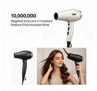 Sèche-cheveux professionnel à moteur AC 2400W, faible bruit, séchage rapide, pour salon, hôtel, extérieur, haute puissance, vente chaude