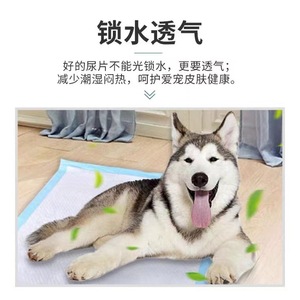Ventes en gros de couches pour animaux de compagnie, tapis absorbants pour chiens anti-fuites et épaissis, tapis pour excréments de chien, tapis absorbants en gros, dropshipping disponible. - Product Image 3