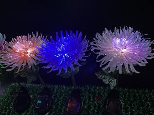 Led Light Ip65 Chrysanthemum Plug-In <span class=keywords><strong>Solar</strong></span> Tuinlamp Draadloze Controle Instelbare Kleur Temperatuur Glasvezel Verlichting Cri - Product Image 3