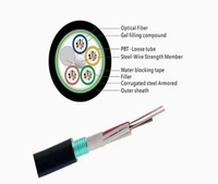 Câble de fibre optique FTTH IP monomode blindé anti-rongeurs extérieur HODNAO GYTA/S 1-12 cœurs G657A1/G657A2/G652D