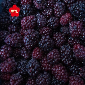 En vrac Fruits Biologiques mûres Congelées - Product Image 2