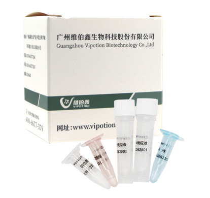 Mycobacterium Tuberculosis Complex (MTC) Realtime PCR RT-PCR Kit Lyophilized Veterinary Test Strips VIUICK Brand for Pigs Cattle