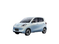 Penjualan Panas Mobil Listrik Baru SAIC-GM-Wuling E110C EV 4 Kursi