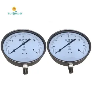 Liquid filled bottom connection bourdon tube capsule low pressure gauge 60 kpa oem