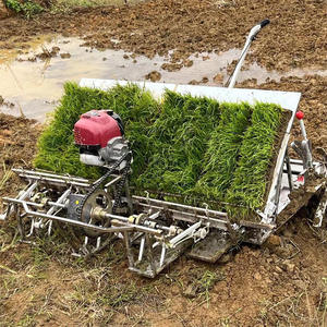 Recommandation populaire Transplanteuse de riz à 6 rangées de haute qualité avec une sécurité élevée pour la plantation de riz agricole - Product Image 1