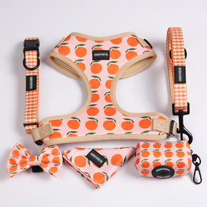 Conjunto de Arnés, <span class=keywords><strong>Collar</strong></span> y Correa para Perro Personalizado QQPETS por Sublimación, Diseño Anti Tirones, Equipo Prémium de Malla de Poliéster/Nailon para Mascotas - Product Image 5