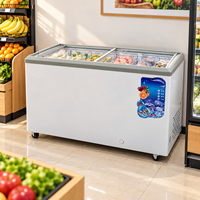Vitrine de présentation de produits congelés à deux portes, à refroidissement direct, en verre plat de qualité commerciale, pour fruits de mer et poissons