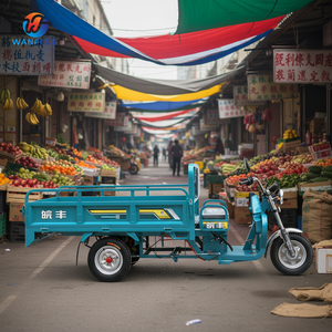 Tricicli Elettrici a Tre Ruote di Grande Capacità e Praticità per il Trasporto di Merci nel Mercato - Product Image 1